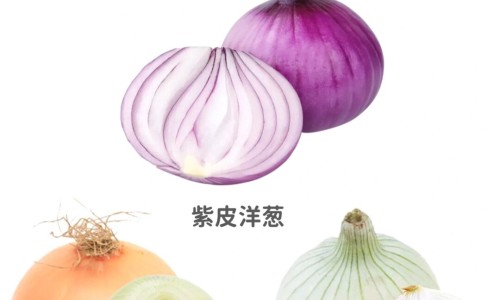 大红藤的功效网 - 大红藤的功效和作用张景明,大红藤的功效和作用主治