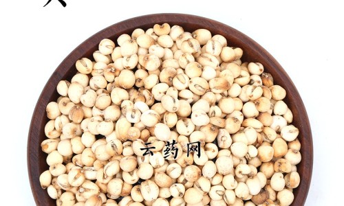 大红藤的功效网 - 大红藤的功效和作用张景明,大红藤的功效和作用主治