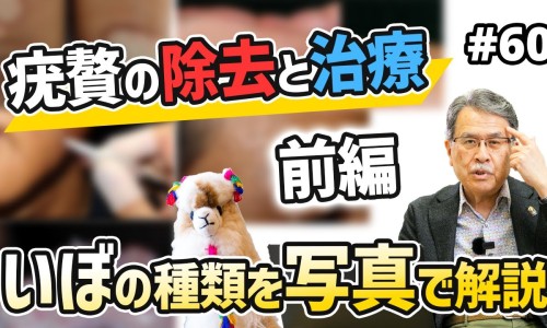 大红藤的功效与作用禁忌-大红藤的功效网 - 大红藤的功效和作用张景明,大红藤的功效和作用主治